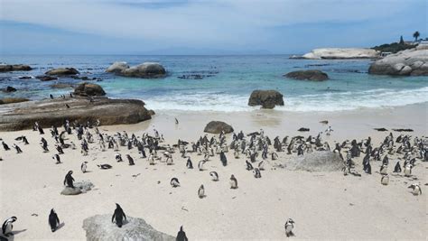 The Western Cape Province of South Africa - New Places To Go