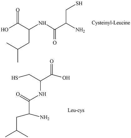 Structure Of Dipeptide