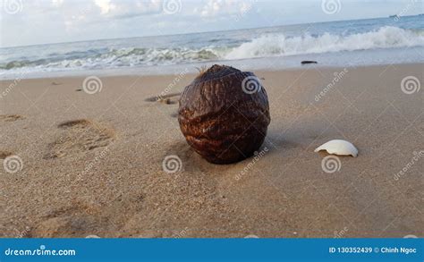 Vung Tau Beach in the Morning Stock Image - Image of architectural ...