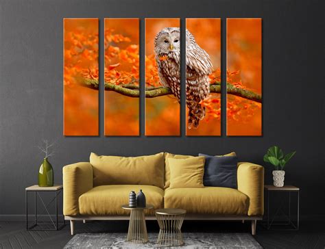 Colorful Photo of an Owl Wall Art Owl in the Wild Wall Decor | Etsy