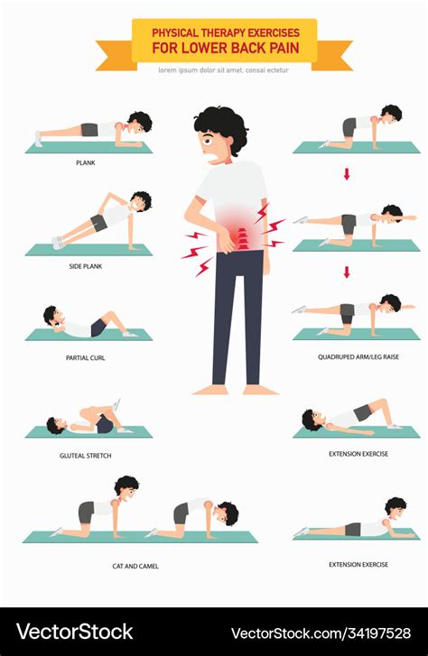 Physical therapy exercises for lower back pain Vector Image