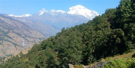 Dhaulagiri Base Camp - Himalaya Expeditions