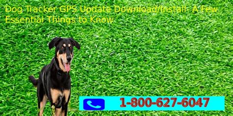 Dog Tracker GPS Update Download-Your Pet Tracker GPS Update Install