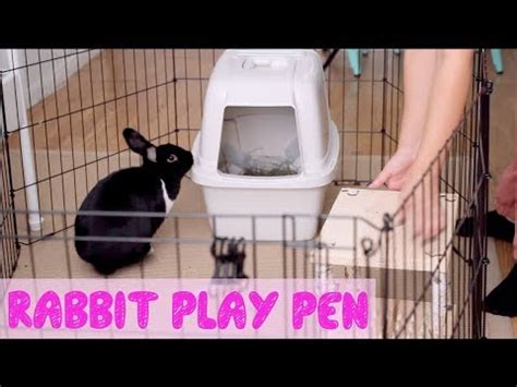 How To Set Up A Rabbit Play Pen - YouTube