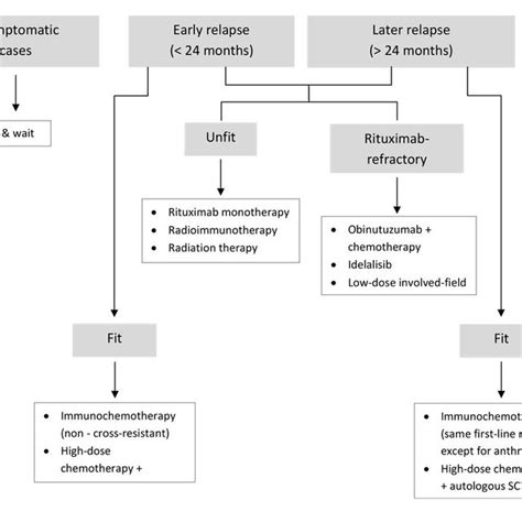 (PDF) Diagnosis and treatment of follicular lymphoma: An update