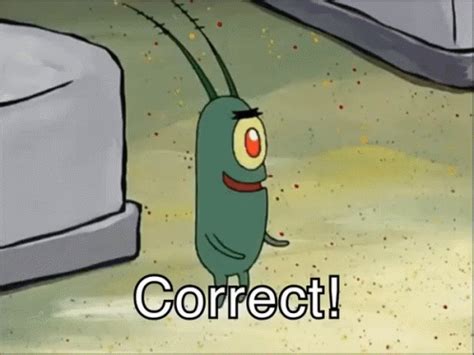 Correct Plankton GIF - Correct Plankton - GIF'leri Keşfedin ve Paylaşın