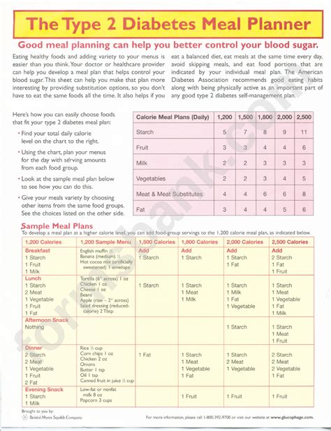 The Type 2 Diabetes Meal Planner printable pdf download