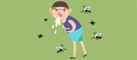 Who Should Get the Dengue Fever Vaccine? - BuzzRx