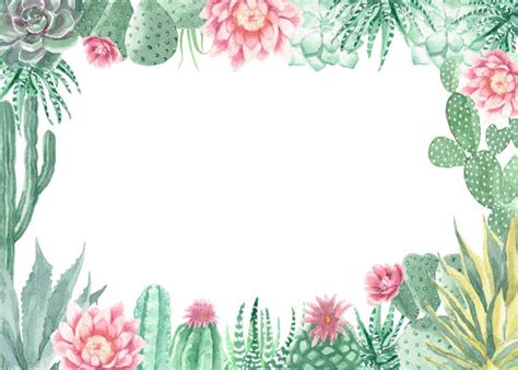 Cactus Borders Illustrations, Royalty-Free Vector Graphics & Clip Art - iStock