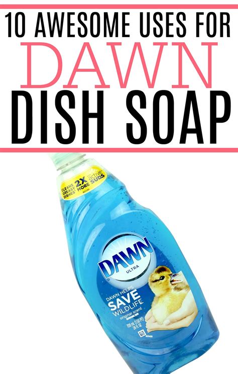 Awesome Dawn Dish Soap Uses - Frugally Blonde