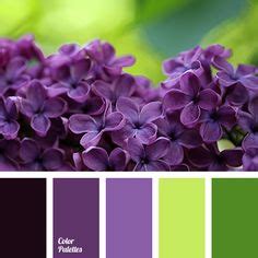 53 Tropical color palette ideas | color palette, tropical colors, palette