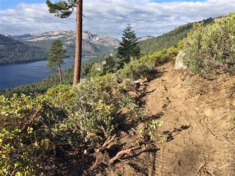 Enjoy Donner Lake Rim Trail with Truckee Donner Land Trust Docent Hike - Take Care