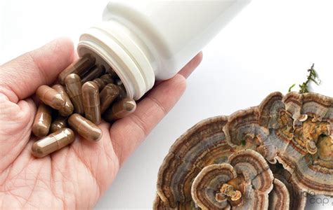 Mushroom Supplement Benefits: Why You Should Use Them Everyday