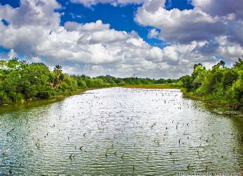 Silvia Barnett Kabar: Brownsville Texas Weather