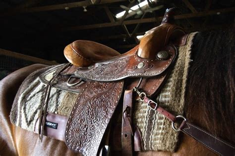 9 Best Trail Saddle Pads Actually Worth Buying - Horses Afield