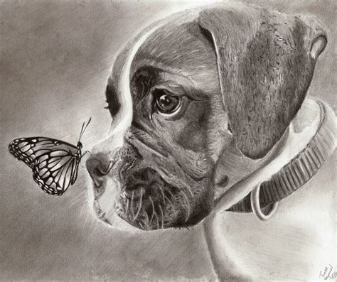 Dog and Butterfly by TeSzu on deviantART | Dog drawing, Animal drawings, Dog paintings