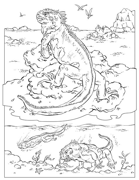 Geographic Coloring Pages Coloring Pages - vrogue.co