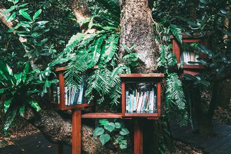 5 new(ish) books about forests and trees