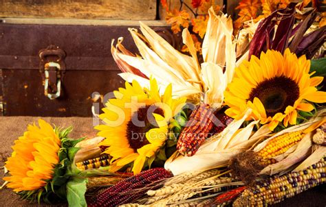 Fall Harvest Cornucopia Fruits & Vegetables Stock Photo | Royalty-Free ...