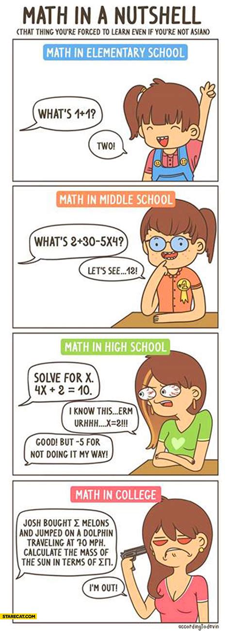 Math in a nutshell elementary middle high school college | StareCat.com