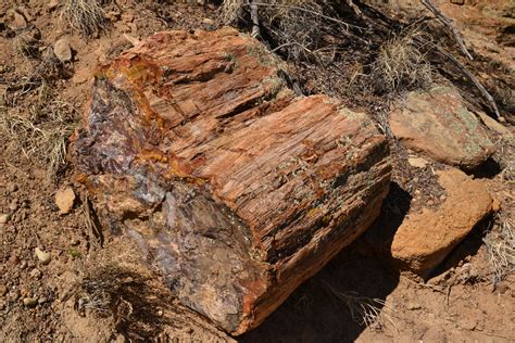 Escalante Petrified Forest State Park - The Empty Road