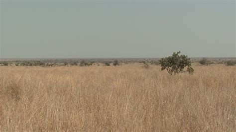 Landscape of Kruger National Park in South Africa image - Free stock photo - Public Domain photo ...