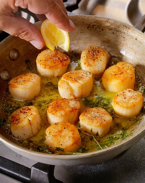 How to Cook Scallops Like a Pro (Plus 30 Easy Scallop Recipes to Get ...