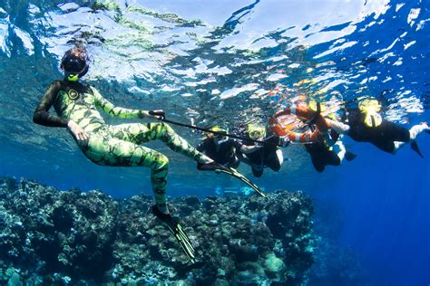 Snorkel The Great Barrier Reef: Do I need to be a good swimmer? - Passions Of Paradise