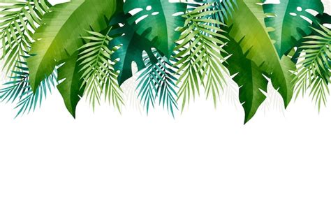 Free Vector | Tropical leaves background