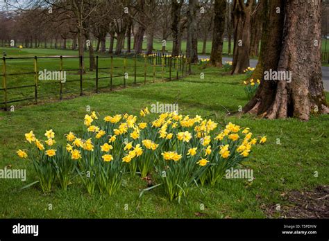 Burnley towneley hall gardens hi-res stock photography and images - Alamy