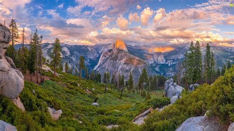 State of California, The United States, Yosemite National Park, trees ...