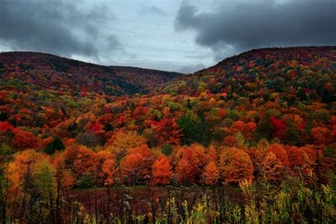 File:Autumn-mountain-foliage - Virginia - ForestWander.jpg - Wikimedia Commons
