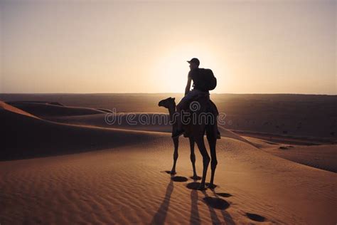 Camel Riding in Desert at Golden Sunset Stock Photo - Image of destinations, exploration: 255155478