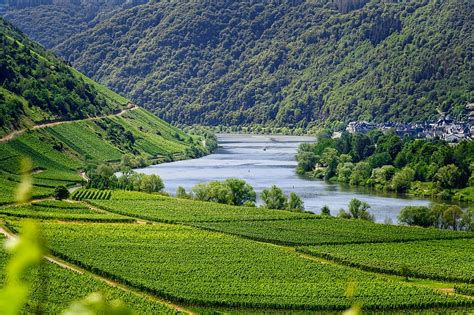 Moselle River Germany : Road Trip Through Mosel River Wine Country ...