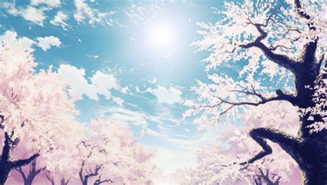 🔥 Free Download Sakura Blossom Gif by @sbruce | WallpaperSafari