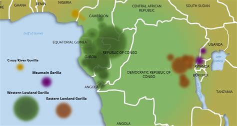 Western Lowland Gorilla Habitat Map