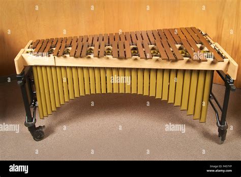 The marimba is a percussion instrument consisting of a set of wooden ...