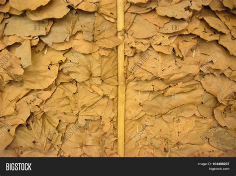 Dry Leaves Wallpaper Image & Photo (Free Trial) | Bigstock