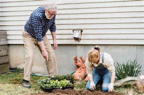 Gardening & Housekeeping - Evergreen Care