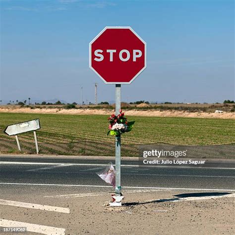 Green Stop Sign Photos and Premium High Res Pictures - Getty Images