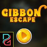 PG Gibbon Escape | Angel Escape