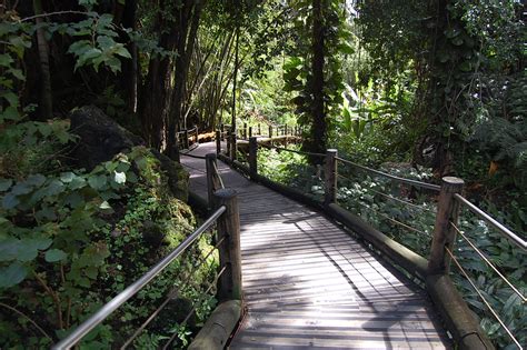 Hawaii Tropical Botanical Garden - Home to the world's largest selection of tropical plants ...