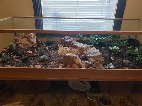 We upcycled a leaky 55 gallon aquarium tank into a terrarium table ...