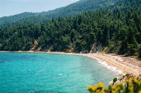 Wild beach in Vourvourou, Sithonia, Greece — Stock Photo © bortnikau #142274284