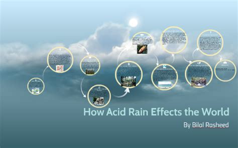 Acid Rain Effects On Animals