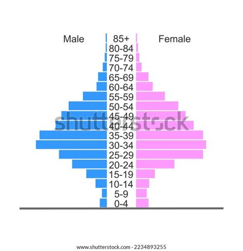 Population Pyramid Age Structure Diagram Template Stock Vector (Royalty ...