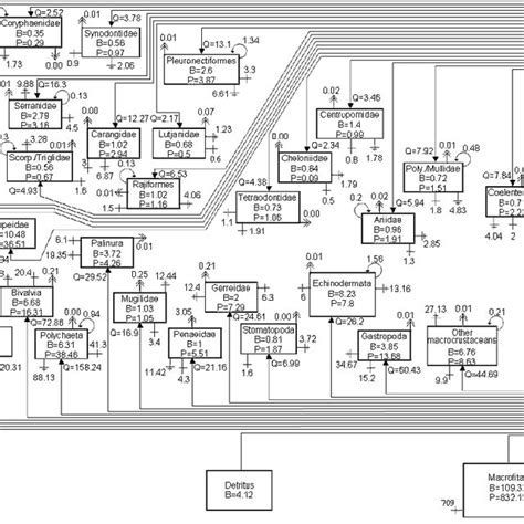 Biomass flows in the southern Sinaloa benthonic ecosystem. B = biomass ...