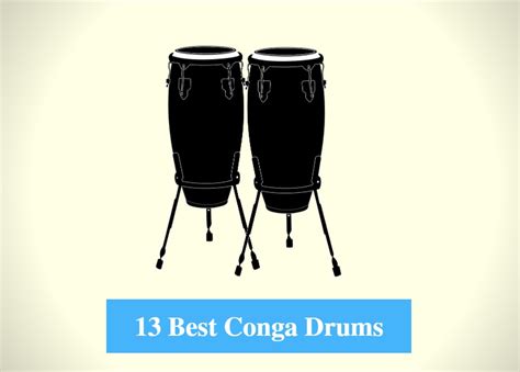 13 Best Conga Drum Reviews 2022 – Best Conga Drum Brands - CMUSE