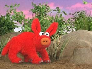 Elmo's World Wild Animals Imagination