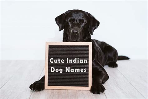 Indian Dog Names